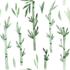 Seamless pattern. Watercolor hand drawn bamboo trees. Isolated on white background. Painted watercolor illustration
