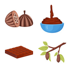 Vector design of cocoa and beans icon. Collection of cocoa and sweetness stock symbol for web.