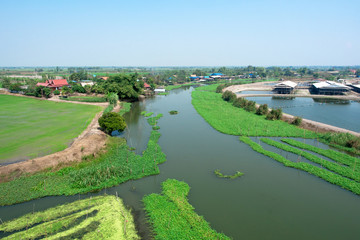 Canal side villages in Thailand that are primarily agricultural workers