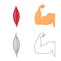 Vector design of fiber and muscular logo. Collection of fiber and body  vector icon for stock.