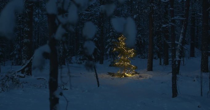 Christmas tree in snow covered winter forest at night