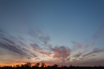 Forest on the horizon, sky and colorful clouds after sunset