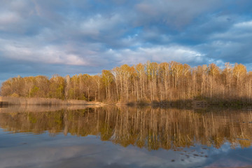 forest pond with reflections of clouds shot in the spring at sunset