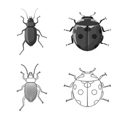 Vector design of insect and fly logo. Collection of insect and element vector icon for stock.