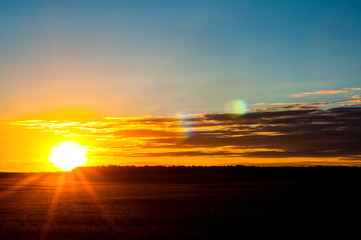 A beautiful sunset, a warm summer evening in a field of green, not ripe wheat and the sun goes down over the horizon