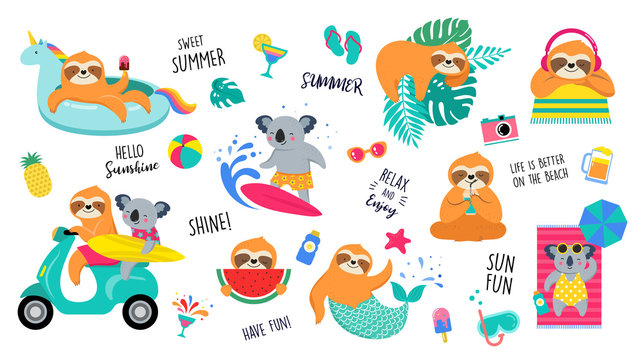 Summer fun illustration with cute characters of koalas and sloths, having fun. Pool, sea and beach summer activities, concept vector illustrations
