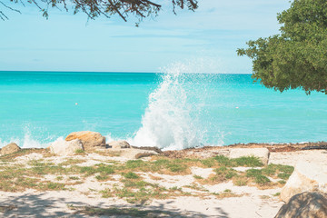 Fototapeta premium Aruba in der Karibik