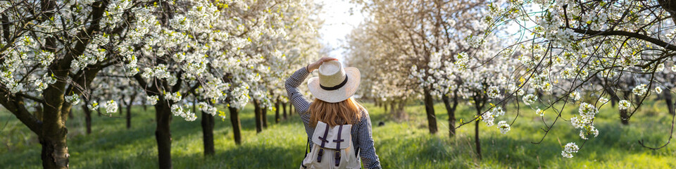 Woman with straw hat enjoying time in blossom cherry orchard at spring - obrazy, fototapety, plakaty