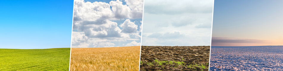 Four season collage from shots with fields ans skies