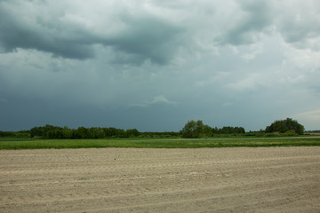 Stormy dark clouds, trees and field