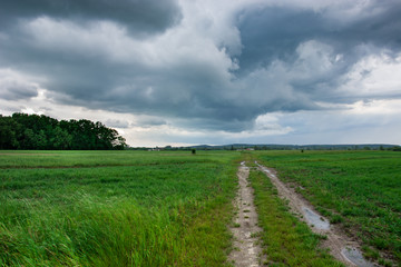 Dirt road through green ripening fields, horizon and storm clouds