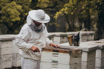 worker in protective clothes opening bees hive