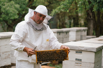 worker in protective wear holding honeycomb