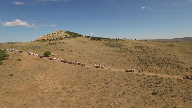 Aerial Of Pioneer Trek Crossing Plains. Aerial clip of a group of people on the pioneer trek.