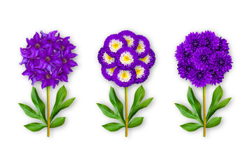 Three fantastic flower on a white background. The composition of violet clematis, asters and dahlias. Art object. Minimalism.