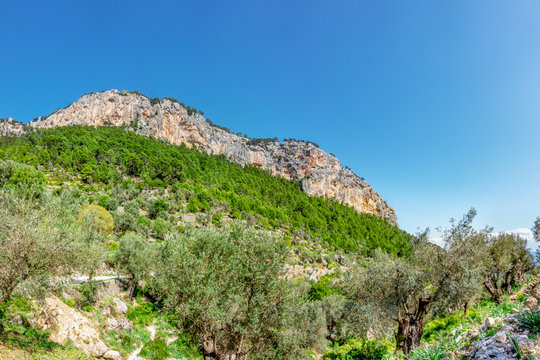 Der wohl beliebteste Berg Mallorcas mit seine Burgruine: Puig d&rsquo;Alar&oacute; 