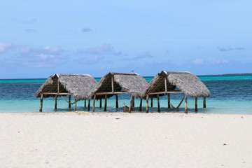 Thatched roof huts on paradise beach