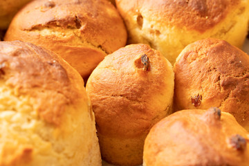 fresh baked cupcakes with raisins. preparation of bread. delicious buns