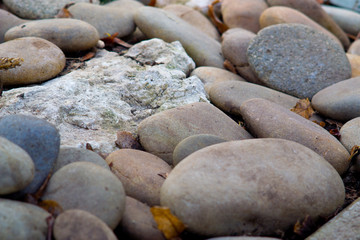 stones on the beach