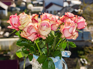 flora, flowers, bouquet, pink, roses, buds, petals, tenderness, beauty