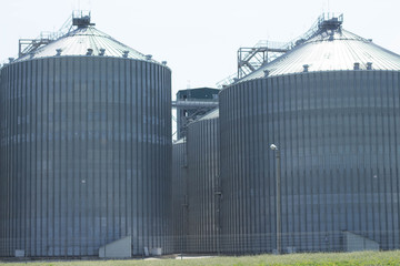 Granary plant agriculure