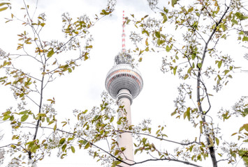 Berlin Fernsehturm im Frühling