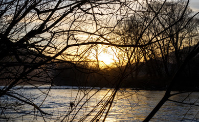 sunset seen trough a bunch of branches in front af a river with some fog and bright shining