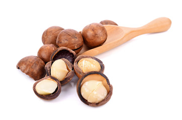 Macadamia nut on white background