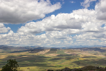 Nature in spring, rural green landscape in background with scenic sky with clouds