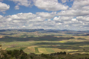 Full nature in spring rural landscape with far green fields and blue sky