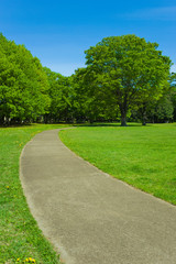 Garden path
