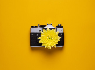Fototapeta na wymiar Vintage camera with a yellow flower instead of a lens. old camera on a yellow background. Instead of a lens, a flower with yellow petals