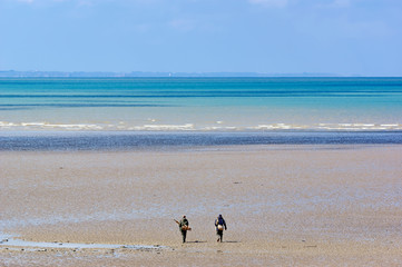 Fototapeta na wymiar Fishing on foot in Cotentin coast