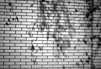 Black and white brick wall with shadows texture background hd