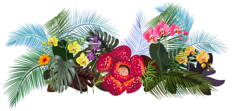 Panoramic view with tropical plants: Rafflesia arnoldii, Dendrobium, red, yellow Phalaenopsis orchid flowers, gerbera, monstera, coconut palm leaves. Illustration in watercolor style, vintage, vector