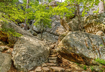 Robbers Cave State park in  Oklahoma.