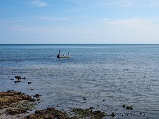Flats fishermen off the Fossilized Reef in Bear Cut on Key Biscayne, Florida, at low tide.