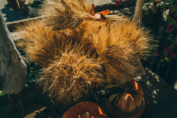 Halloween pumpkins on rustic white planks, holiday decoration. Autumn pumpkin Thanksgiving background. Wood background with pumpkin, wheat and fall flowers. Selective focus. Toned image.