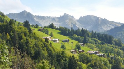 Les Alpes en été, panorama sur la montagne avec des sapins verts et des chalets, au Grand-Bornand (France)