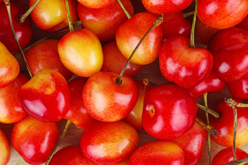 Yellow-red cherries
