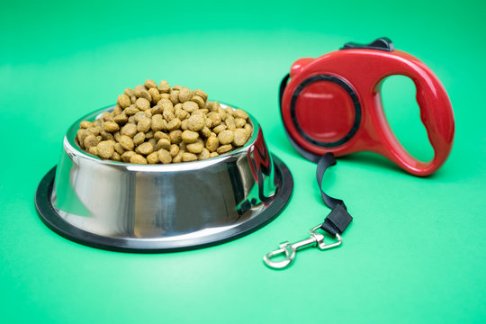Dry food with automatic leashes for animal on green background.