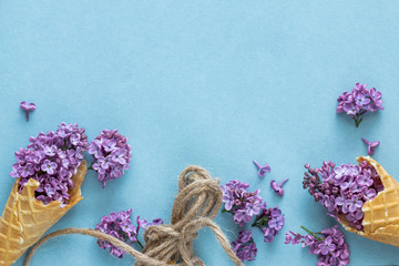 Purple lilac flowers in a waffle ice cream cone. Flower Still Life. Copy space.