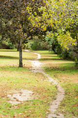 Running, walking path leading into woods