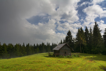 Obraz premium Beautiful mountain landscapes with the Ukrainian Carpathians.