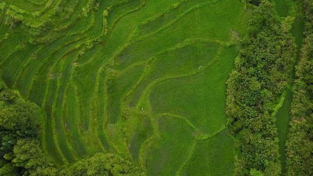 China Asian Terraced Mountains