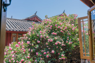 麗江古城