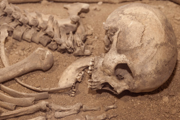 The skeleton of an ancient man with a skull. archaeology, anthropology. science. history of...