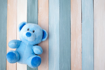 Teddy Bear toy alone on pastel wooden background