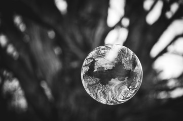 reflective bubble B&W