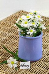 Sorry card with chamomile flowers in blue vase on wicker